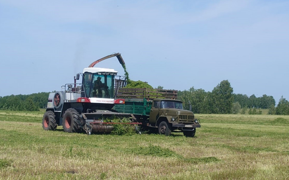 Полеводство. В районе завершилась уборочная кампания 2025 года.