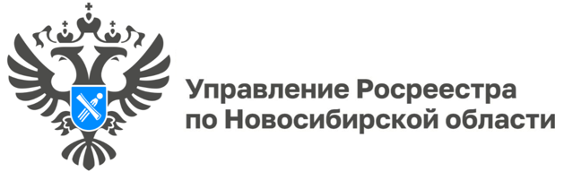 Лесная амнистия: что важно знать владельцам земельных участков