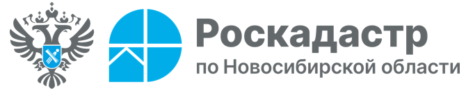Онлайн-выписка из ЕГРН за минуту: обзор сервиса на портале Госуслуг